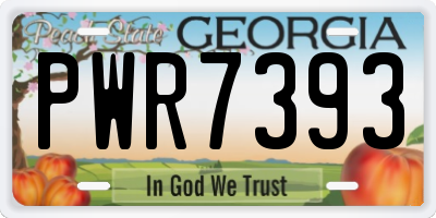 GA license plate PWR7393