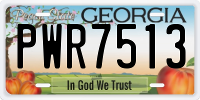 GA license plate PWR7513