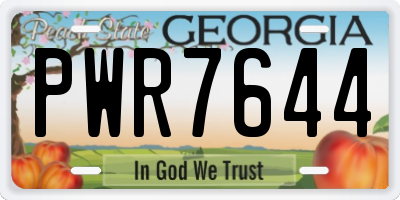 GA license plate PWR7644