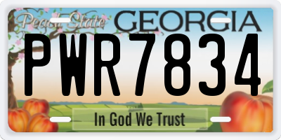 GA license plate PWR7834