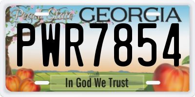 GA license plate PWR7854
