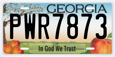 GA license plate PWR7873