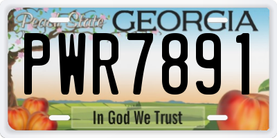 GA license plate PWR7891