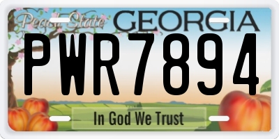 GA license plate PWR7894