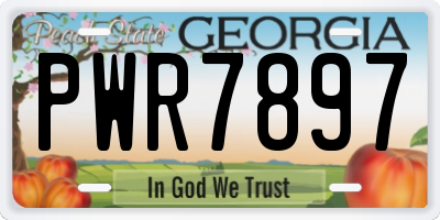 GA license plate PWR7897