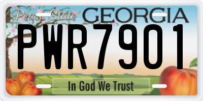 GA license plate PWR7901