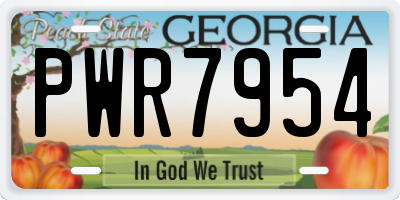 GA license plate PWR7954