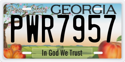 GA license plate PWR7957