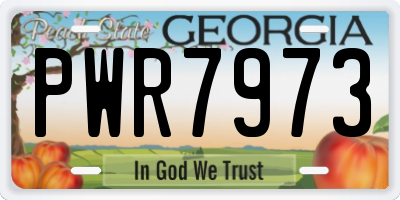 GA license plate PWR7973