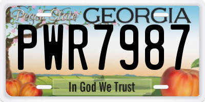 GA license plate PWR7987