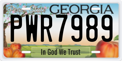 GA license plate PWR7989