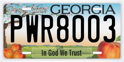 GA license plate PWR8003