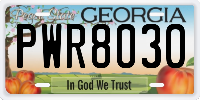 GA license plate PWR8030