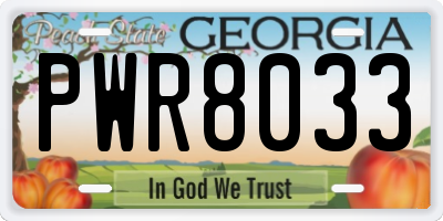 GA license plate PWR8033