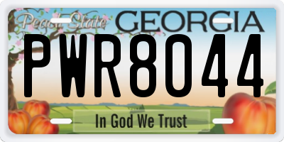 GA license plate PWR8044