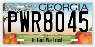 GA license plate PWR8045