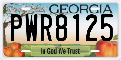 GA license plate PWR8125