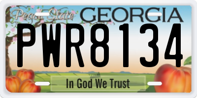 GA license plate PWR8134