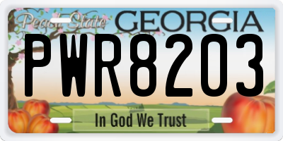 GA license plate PWR8203