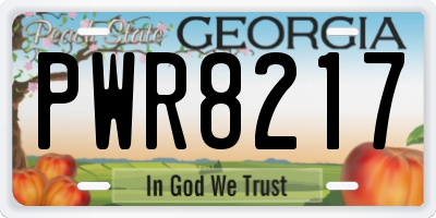 GA license plate PWR8217