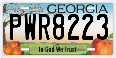 GA license plate PWR8223