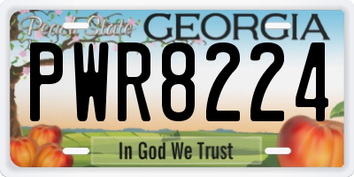GA license plate PWR8224