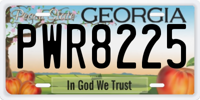 GA license plate PWR8225