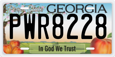 GA license plate PWR8228