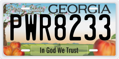 GA license plate PWR8233