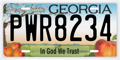 GA license plate PWR8234