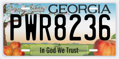 GA license plate PWR8236