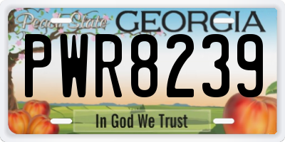GA license plate PWR8239