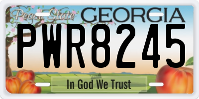 GA license plate PWR8245