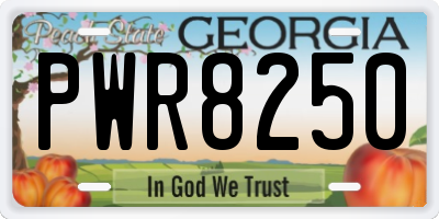 GA license plate PWR8250