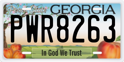 GA license plate PWR8263
