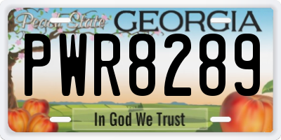 GA license plate PWR8289