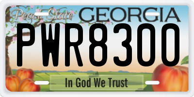 GA license plate PWR8300