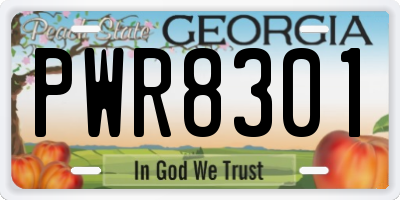 GA license plate PWR8301