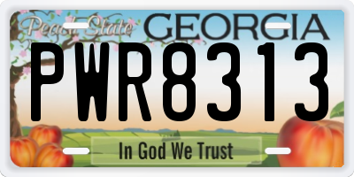 GA license plate PWR8313
