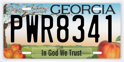 GA license plate PWR8341