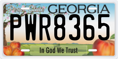 GA license plate PWR8365
