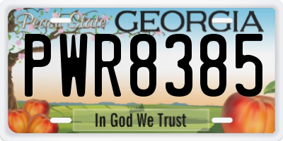 GA license plate PWR8385