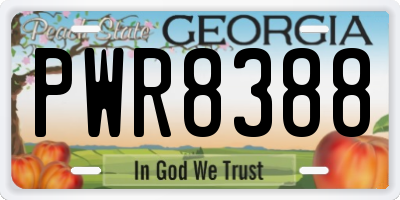 GA license plate PWR8388