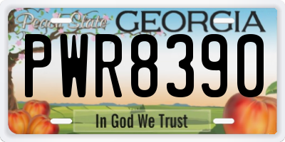 GA license plate PWR8390