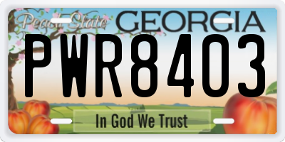GA license plate PWR8403