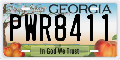GA license plate PWR8411