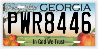 GA license plate PWR8446