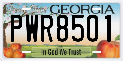 GA license plate PWR8501