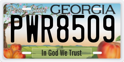 GA license plate PWR8509