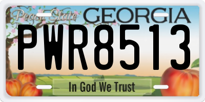 GA license plate PWR8513